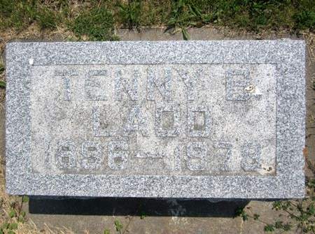 LADD, TENNY - Fayette County, Iowa | TENNY LADD 