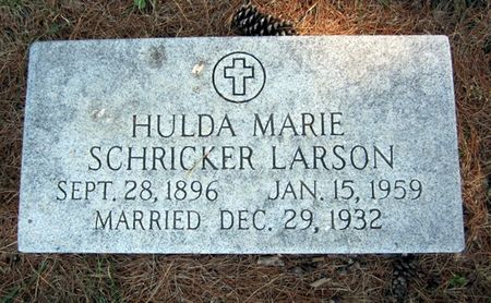 LARSON, HULDA - Fayette County, Iowa | HULDA LARSON 