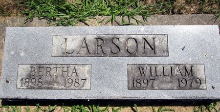 LARSON, WILLIAM - Fayette County, Iowa | WILLIAM LARSON 