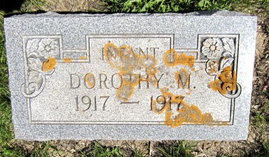 LEARN, DOROTHY - Fayette County, Iowa | DOROTHY LEARN 
