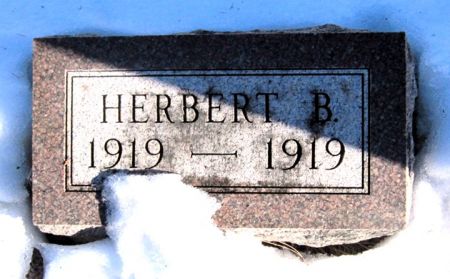 LIGHT, HERBERT B. - Fayette County, Iowa | HERBERT B. LIGHT 