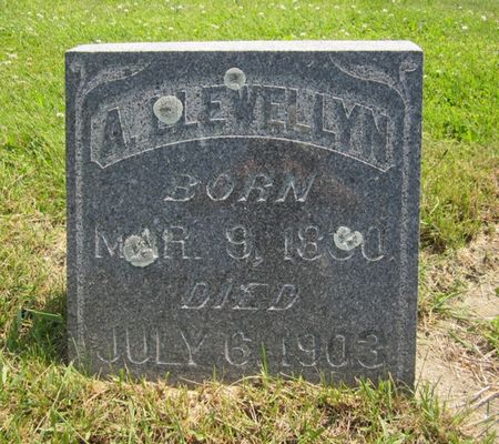 LLEWELLYN, ASA - Fayette County, Iowa | ASA LLEWELLYN 