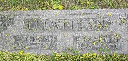 LLEWELLYN, COLEMAN - Fayette County, Iowa | COLEMAN LLEWELLYN 