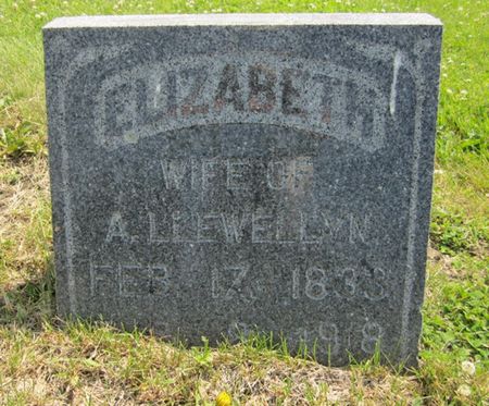 LLEWELLYN, ELIZABETH - Fayette County, Iowa | ELIZABETH LLEWELLYN 