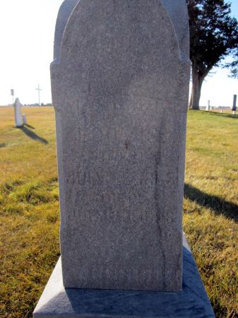 LOOMIS, ALVIRETTA - Fayette County, Iowa | ALVIRETTA LOOMIS 