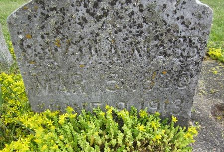 MABB, LAVINA - Fayette County, Iowa | LAVINA MABB 