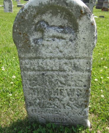 MATHEWS, BABY - Fayette County, Iowa | BABY MATHEWS 