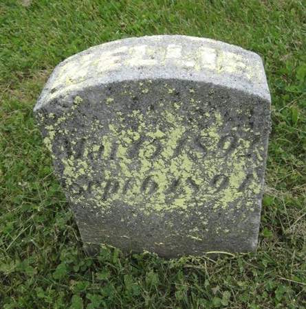 MCMATHLIN, NELLIE - Fayette County, Iowa | NELLIE MCMATHLIN 