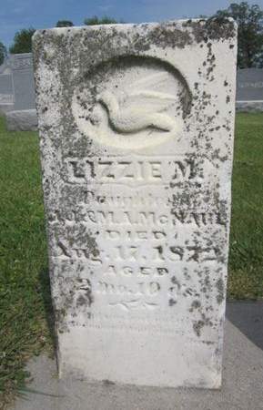 MCNAUL, LIZZIE - Fayette County, Iowa | LIZZIE MCNAUL 