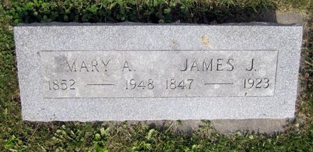 MCNAUL, MARY A. - Fayette County, Iowa | MARY A. MCNAUL 