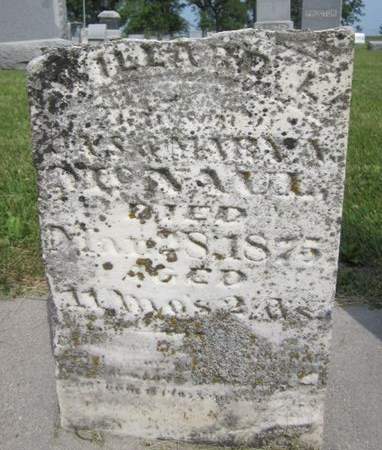 MCNAUL, WILLARD - Fayette County, Iowa | WILLARD MCNAUL 