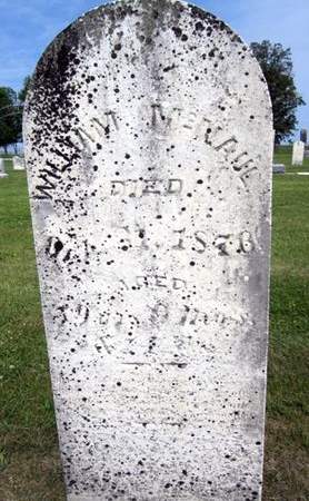 MCNAUL, WILLIAM - Fayette County, Iowa | WILLIAM MCNAUL 