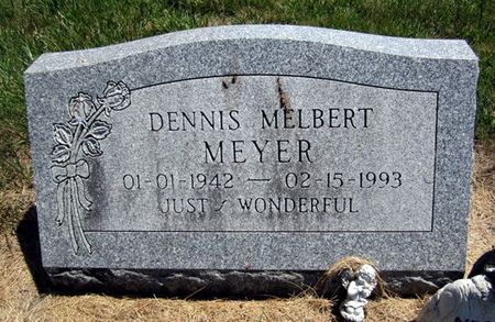 MEYER, DENNIS MELBERT - Fayette County, Iowa | DENNIS MELBERT MEYER 