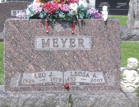 MEYER, LEOSA A - Fayette County, Iowa | LEOSA A MEYER 
