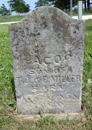 MILLER, JACOB - Fayette County, Iowa | JACOB MILLER 