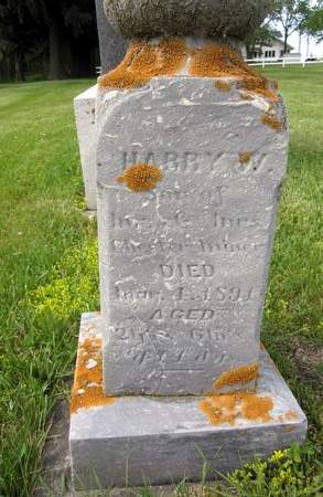 MINER, HARRY WARREN - Fayette County, Iowa | HARRY WARREN MINER 