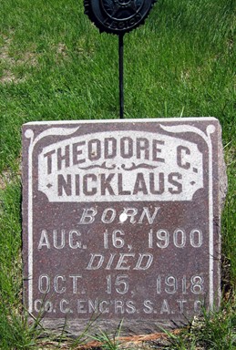 NICKLAUS, THEODORE C. - Fayette County, Iowa | THEODORE C. NICKLAUS 