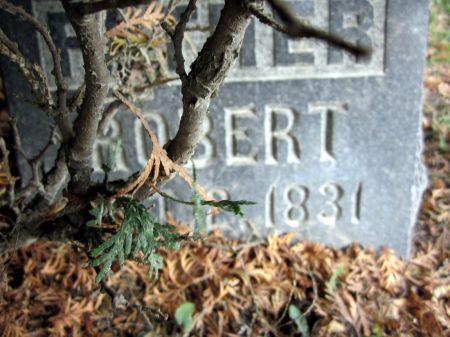 PATTERSON, ROBERT - Fayette County, Iowa | ROBERT PATTERSON 