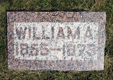 PETERMAN, WILLIAM A. - Fayette County, Iowa | WILLIAM A. PETERMAN 