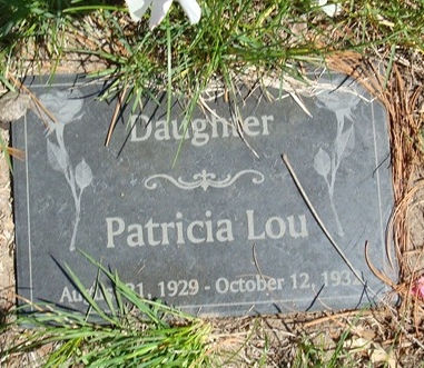 PINNEY, PATRICIA - Fayette County, Iowa | PATRICIA PINNEY 