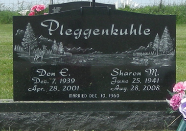 PLEGGENKUHLE, DON E. - Fayette County, Iowa | DON E. PLEGGENKUHLE 