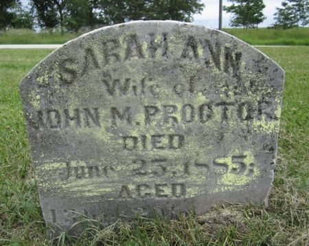 PROCTOR, SARAH ANN - Fayette County, Iowa | SARAH ANN PROCTOR 