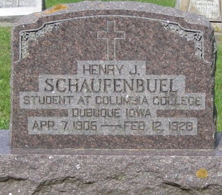 SCHAUFENBUEL, HENRY J - Fayette County, Iowa | HENRY J SCHAUFENBUEL 