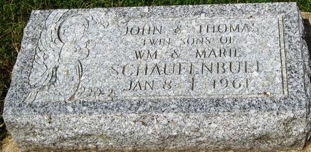 SCHAUFENBUEL, THOMAS - Fayette County, Iowa | THOMAS SCHAUFENBUEL 