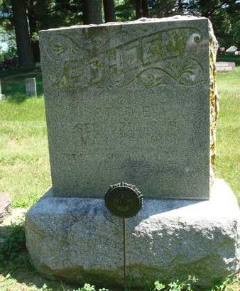 SCHEEL, OTTO E. - Fayette County, Iowa | OTTO E. SCHEEL 