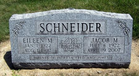 LOFTSGARD SCHNEIDER, EILEEN - Fayette County, Iowa | EILEEN LOFTSGARD SCHNEIDER 