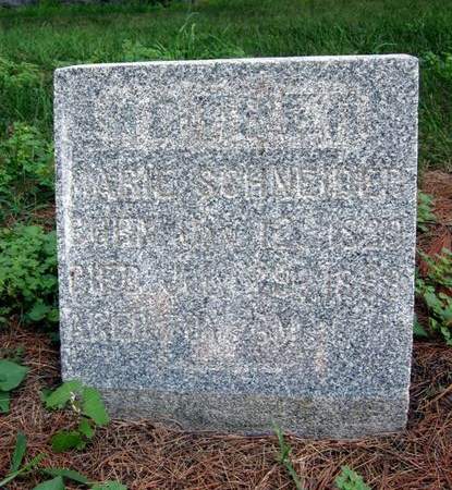SCHNEIDER, MARIE - Fayette County, Iowa | MARIE SCHNEIDER 