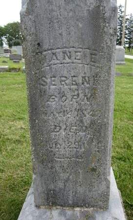 SERENE, JANE E. - Fayette County, Iowa | JANE E. SERENE 