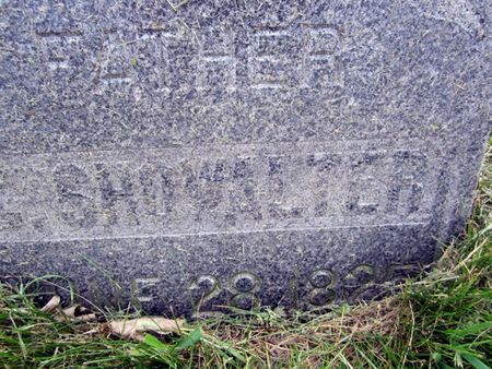 SHOWWALTER, C. - Fayette County, Iowa | C. SHOWWALTER 