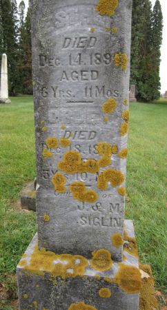 SIGLIN, ESTHER - Fayette County, Iowa | ESTHER SIGLIN 