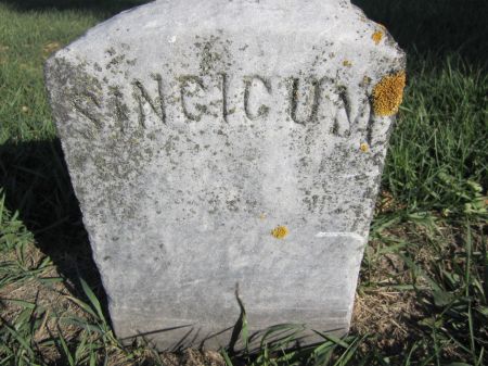 SINCICUM, - - Fayette County, Iowa | - SINCICUM 