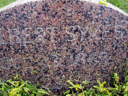 SKYES, ALBERT - Fayette County, Iowa | ALBERT SKYES 