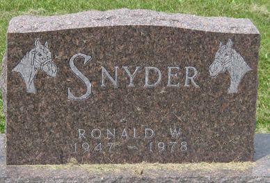 SNYDER, RONALD W. - Fayette County, Iowa | RONALD W. SNYDER 