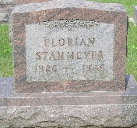 STAMMEYER, FLORIAN - Fayette County, Iowa | FLORIAN STAMMEYER 
