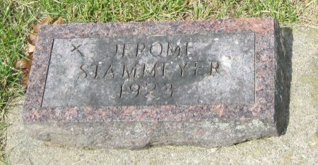 STAMMEYER, JEROME - Fayette County, Iowa | JEROME STAMMEYER 