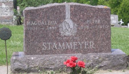 STAMMEYER, PETER - Fayette County, Iowa | PETER STAMMEYER 