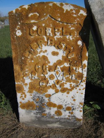 STONE, WALTER - Fayette County, Iowa | WALTER STONE 