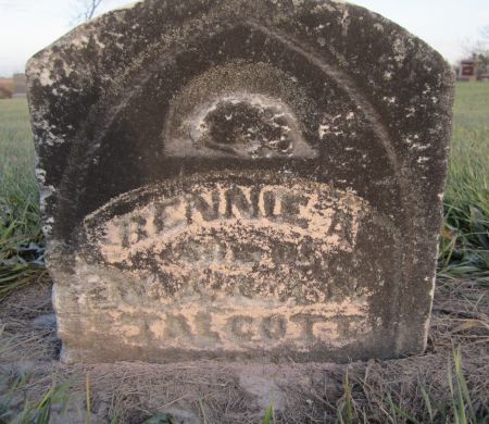TALCOTT, BENNIE - Fayette County, Iowa | BENNIE TALCOTT 