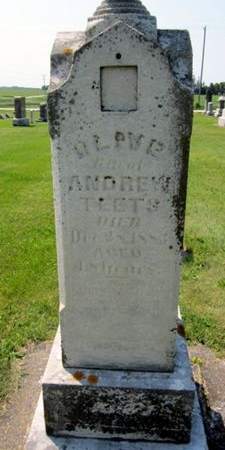 FAIRBANKS TEETS, OLIVE - Fayette County, Iowa | OLIVE FAIRBANKS TEETS 