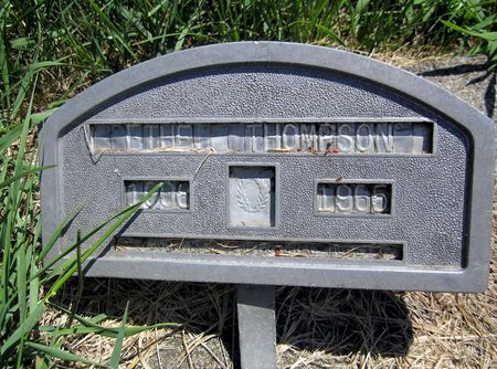 THOMPSON, ETHEL - Fayette County, Iowa | ETHEL THOMPSON 