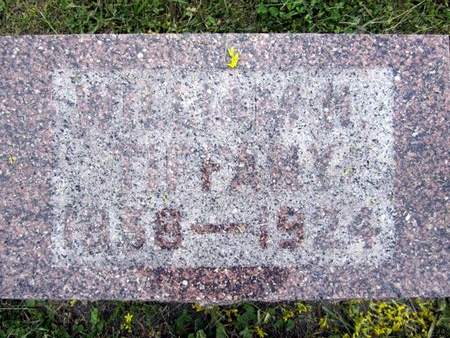 TIFFANY, WILLIAM - Fayette County, Iowa | WILLIAM TIFFANY 