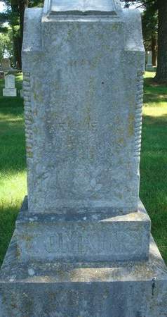 TOMKINS, NELLIE MINERVA - Fayette County, Iowa | NELLIE MINERVA TOMKINS 