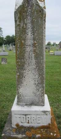 TORREY, SYLVIA S. - Fayette County, Iowa | SYLVIA S. TORREY 