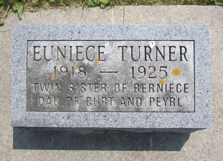 TURNER, EUNIECE - Fayette County, Iowa | EUNIECE TURNER 