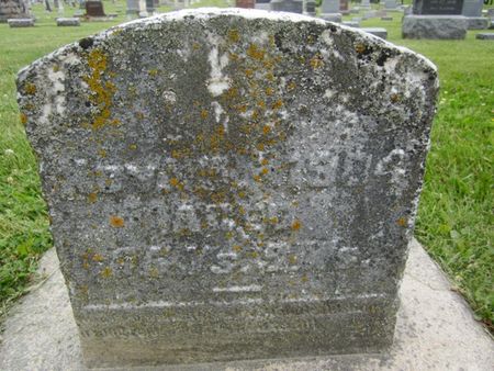 TURNER, JAMES LANSING - Fayette County, Iowa | JAMES LANSING TURNER 