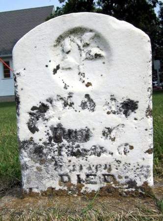 WARREN, ANNA - Fayette County, Iowa | ANNA WARREN 